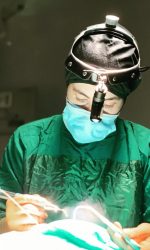 a878f084-ebcb-412f-bfaa-2fcb92c33b32_large